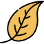 Leaf icon 64x64