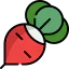 Radish icon 64x64