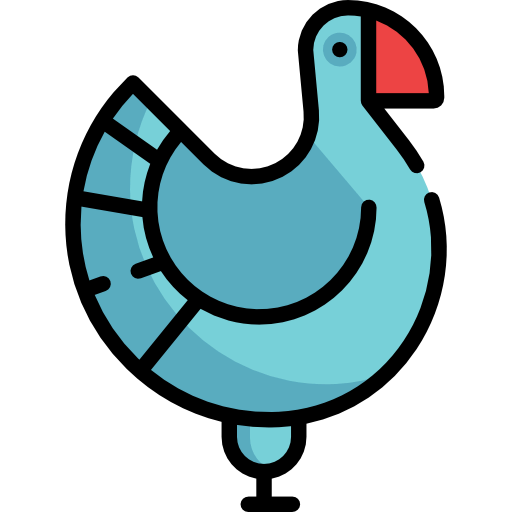 Turkey icon