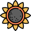 Sunflower icon 64x64