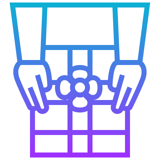 Gift icon
