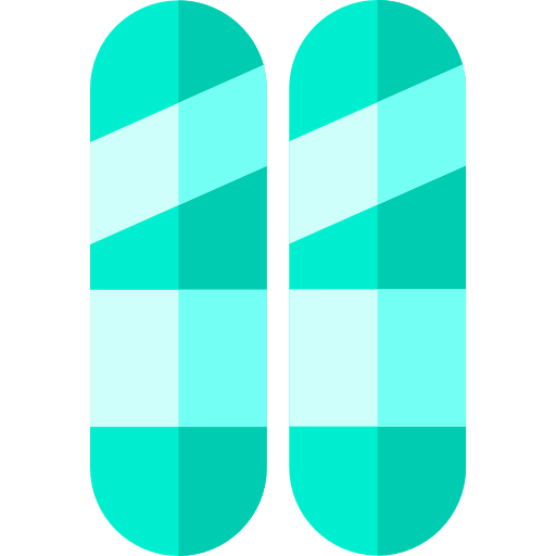 Ski icon