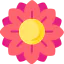 Flower icon 64x64