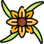 Floral design icon 64x64