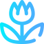 Macro icon 64x64