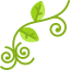 Floral design icon 64x64