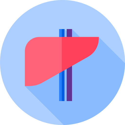 Liver icon