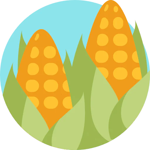 Corn icon