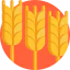 Rye icon 64x64