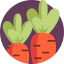 Carrot icon 64x64