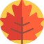 Leaf icon 64x64