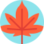 Leaf icon 64x64