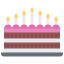 Birthday cake icon 64x64