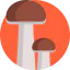 Mushroom icon 64x64