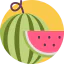 Watermelon icon 64x64