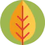 Leaf icon 64x64