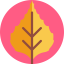 Leaf icon 64x64