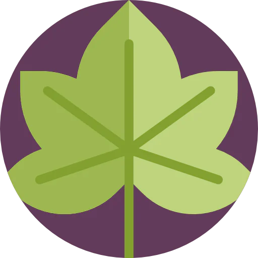 Leaf icon