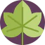 Leaf icon 64x64