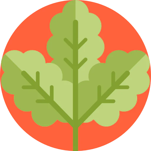 Leaf icon