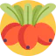 Berries icon 64x64