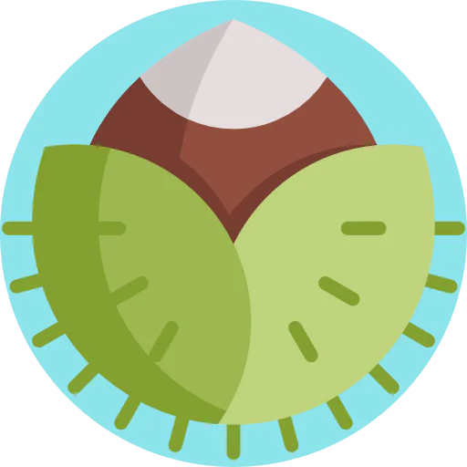 Chestnut icon