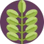 Leaf icon 64x64