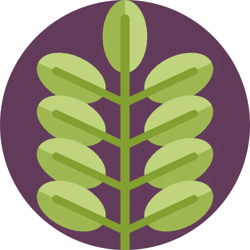 Leaf icon