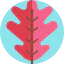 Leaf icon 64x64