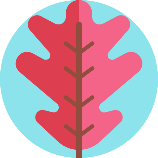Leaf icon