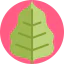 Leaf icon 64x64