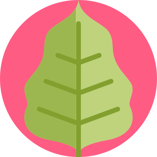 Leaf icon