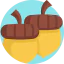 Acorn icon 64x64
