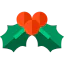 Mistletoe icon 64x64