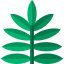 Fern 图标 64x64