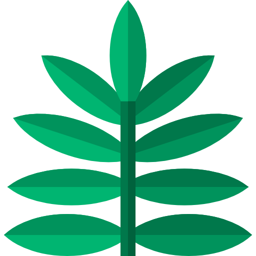 Fern icon