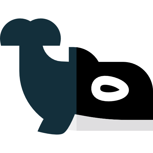 Orca icon