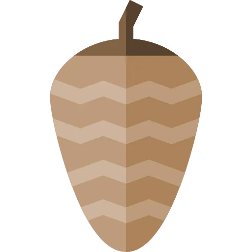 Pine cone icon
