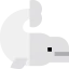 Whale icon 64x64
