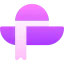 Pamela hat icon 64x64