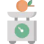Weight scale icon 64x64