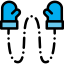 Mittens icon 64x64