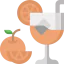 Cocktail icon 64x64