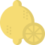 Lemon fruit ícono 64x64