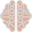 Human brain Ikona 64x64