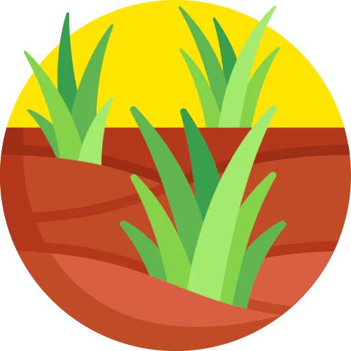 Swamp icon