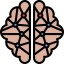 Human brain Symbol 64x64