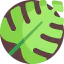 Leaf 상 64x64