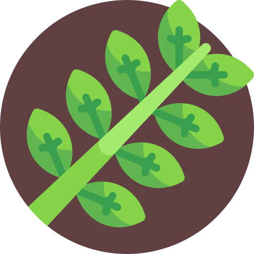 Leaf 상