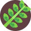 Leaf 상 64x64